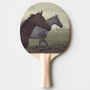 Raquette De Ping Pong Chevaux sauvages