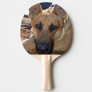 Raquette De Ping Pong Chien Alsacien, Yeux Sleepy,