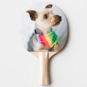 Raquette De Ping Pong Chien arc-en-ciel Gay pride  Yorkshire Terrier