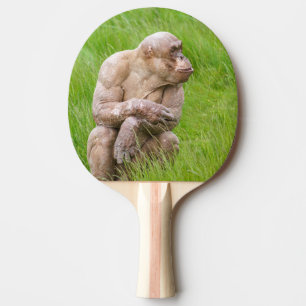 Raquette De Ping Pong Chimpanzé sans cheveux