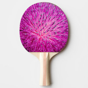 Raquette De Ping Pong Closeup de chardon de lait