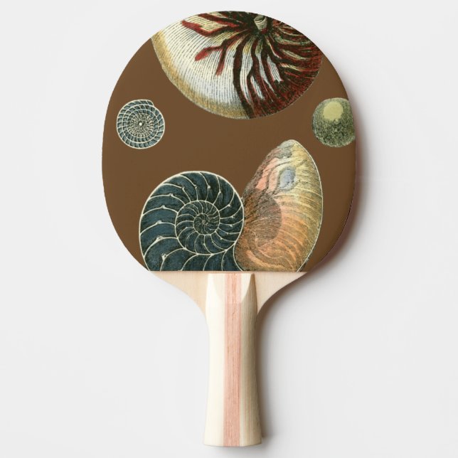 Raquette De Ping Pong Coque de cacao (Devant)