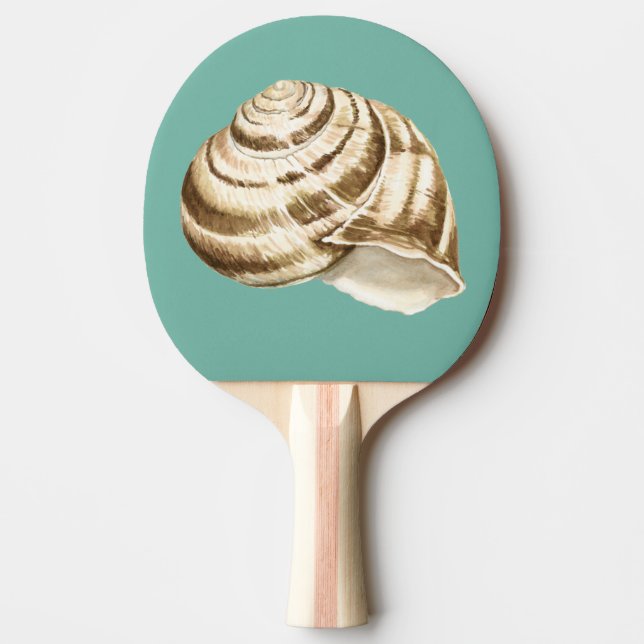 Raquette De Ping Pong Coquille striée Sepia sur Turquoise (Devant)