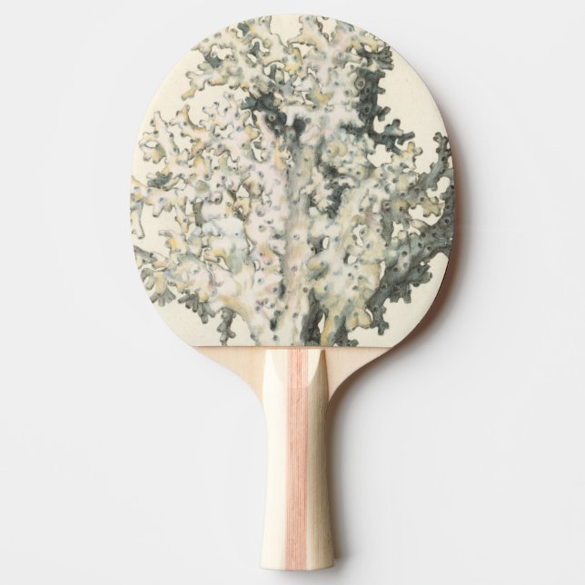 Raquette De Ping Pong Corail d'aquarelle antique (Devant)