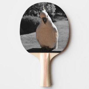 Raquette De Ping Pong Curieux cacatoès à crête de soufre