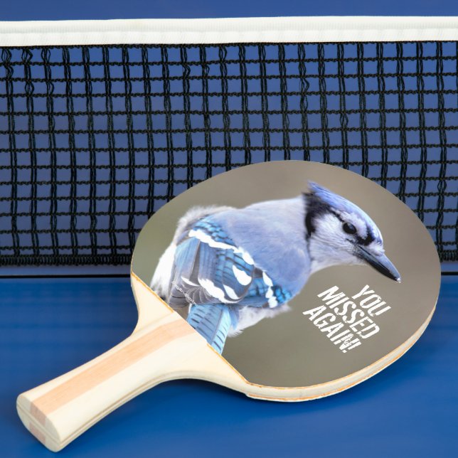 Raquette De Ping Pong Cute Bleu Jay Songbird sur Treestump (Insitu)