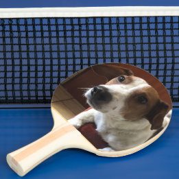 Raquette De Ping Pong de