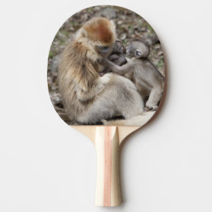 Raquette De Ping Pong Deux singes dorés femelles avec des nouveau-nés
