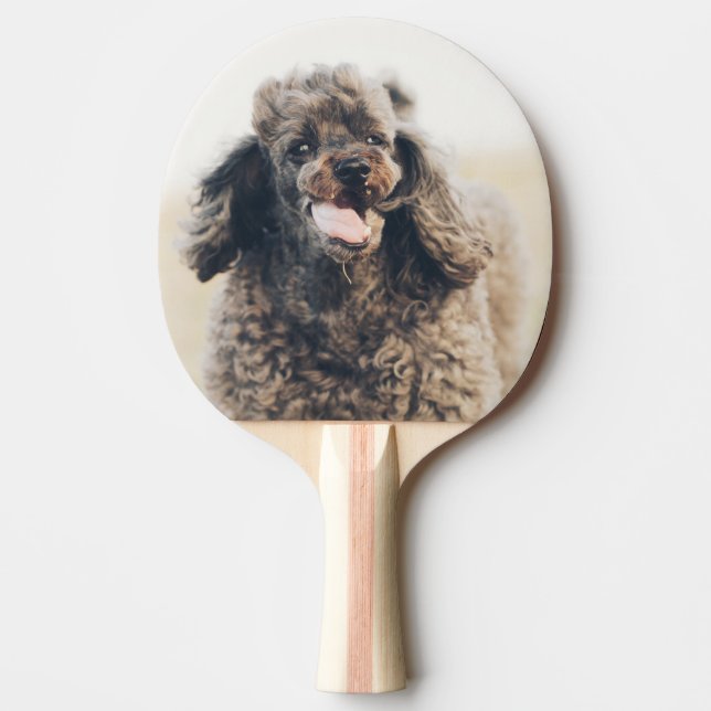 Raquette De Ping Pong Doux Poodle Chien Visage Sourire souriant (Devant)