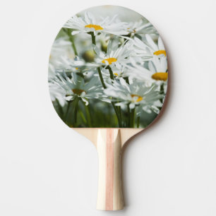 Raquette De Ping Pong États-Unis, Oregon, Willamette Valley, Sélectif