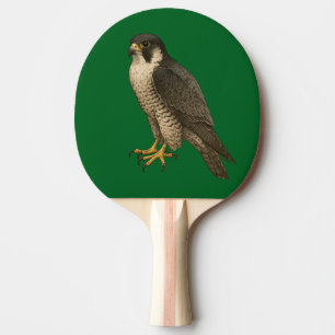 Raquette De Ping Pong Faucon migrant