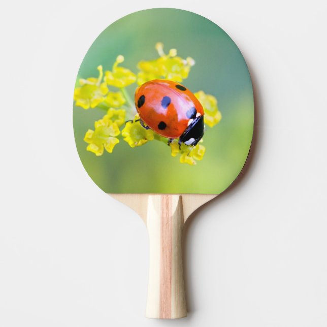 Raquette De Ping Pong femme au sommet (Devant)