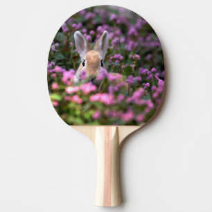 Raquette De Ping Pong Ferme de lapins