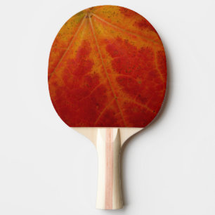 Raquette De Ping Pong Feuille d'érable rouge Abstraite Automne Photograp