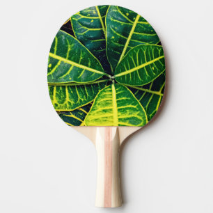 Raquette De Ping Pong Feuilles verts