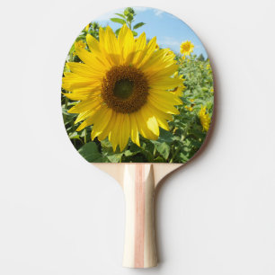 Raquette De Ping Pong fleur, nature, tournesol, été, fleur, plante,