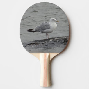 Raquette De Ping Pong Grand goéland