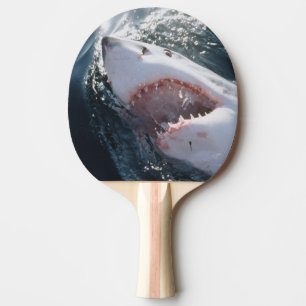 Raquette De Ping Pong Grand requin blanc sur la mer
