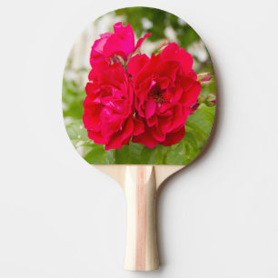 Raquette De Ping Pong Grandes roses rouges dans le jardin