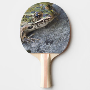 Raquette De Ping Pong Grenouille léopard du nord, Île transparente,