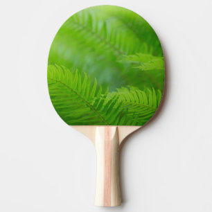 Raquette De Ping Pong Gros plan de fougère sword