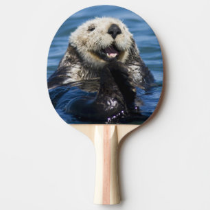 Raquette De Ping Pong Grosses de loutres de mer de Californie Enhydra lu