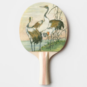 Raquette De Ping Pong Grues orientales par l'eau