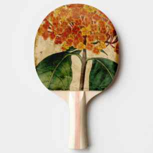 Raquette De Ping Pong I floral vibrant