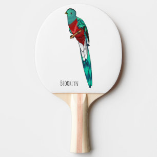 Raquette De Ping Pong Illustration d'oiseau de quetzal resplendissant