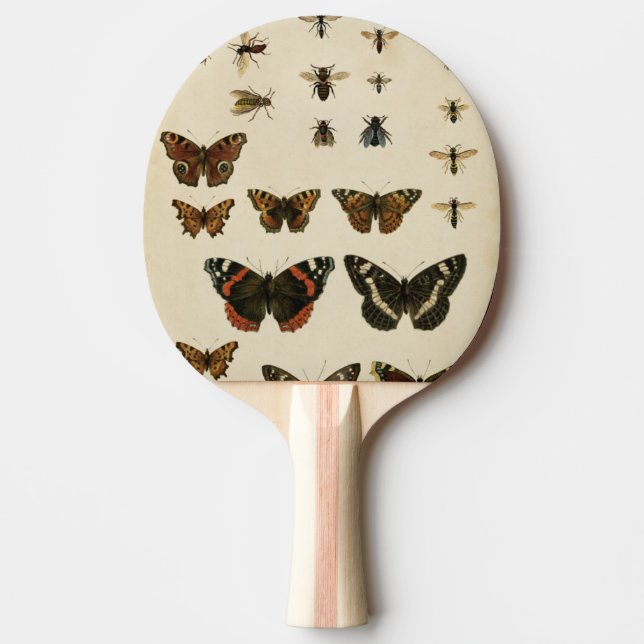 Raquette De Ping Pong Insectes de jardin par Vision Studio (Devant)