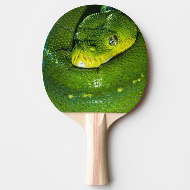 Raquette De Ping Pong Joyeux serpent d'anniversaire (Devant)