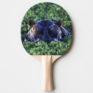 Raquette De Ping Pong Kenya, réserve nationale du Masai Mara.