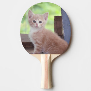 Raquette De Ping Pong Kitten
