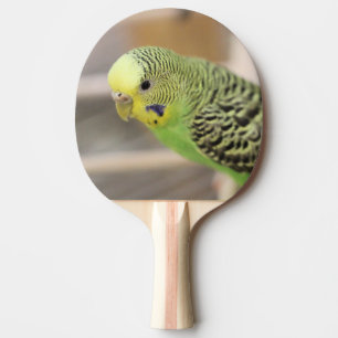 Raquette De Ping Pong Kiwi