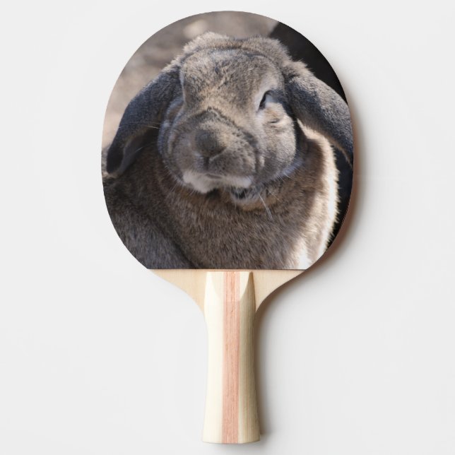 Raquette De Ping Pong Lapin à oreilles de Lop (Devant)