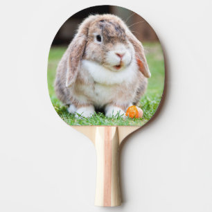 Raquette De Ping Pong lapin à oreilles de lop mignon