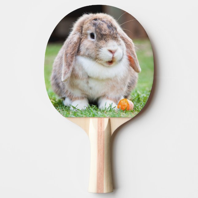Raquette De Ping Pong lapin à oreilles de lop mignon (Devant)