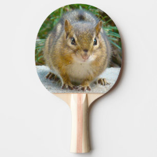 Raquette De Ping Pong Le Cute Chipmunk A L'Oeil Sur Vous