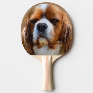 Raquette De Ping Pong Le roi Charles Cavalier,