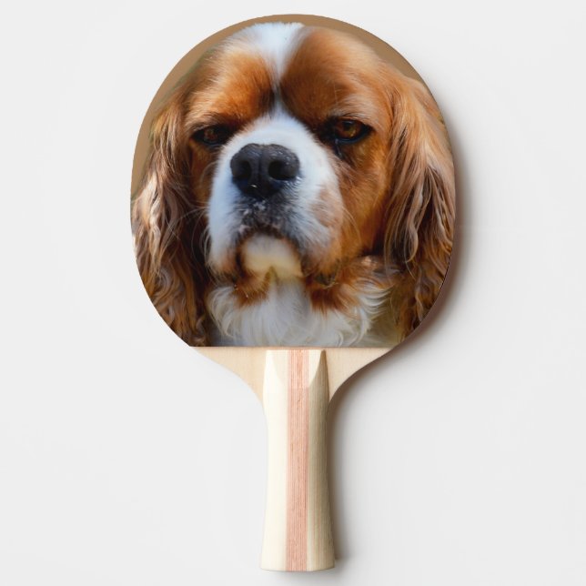 Raquette De Ping Pong Le roi Charles Cavalier, (Devant)