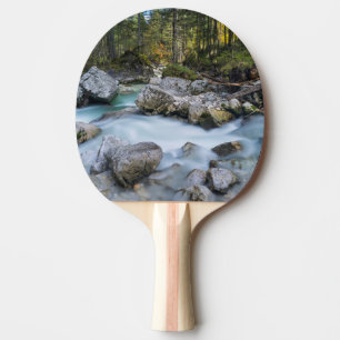 Raquette De Ping Pong Le torrent Ramsauer Ache