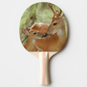 Raquette De Ping Pong Liaison de mâle et de faon de Whitetail