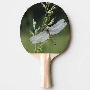 Raquette De Ping Pong Libellule Anax couvert de rosée