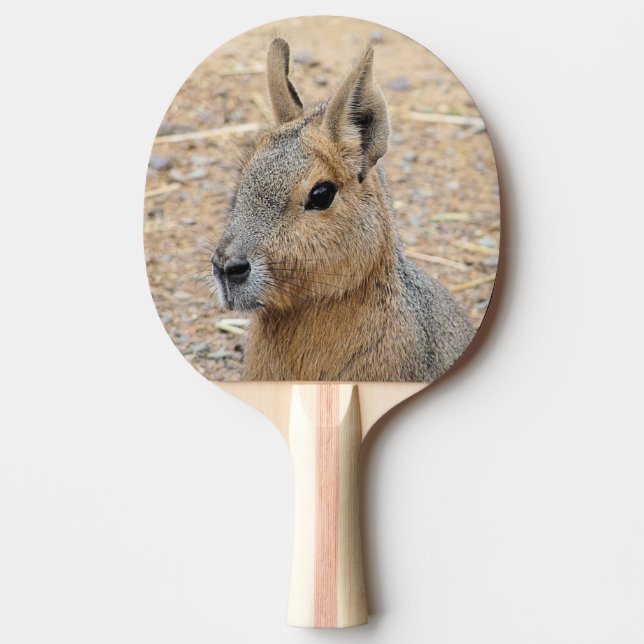 RAQUETTE DE PING PONG MARA PATAGONIEN (Devant)