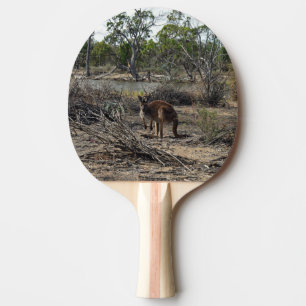 Raquette De Ping Pong Moment tranquille : Kangaroo australien à Billabon