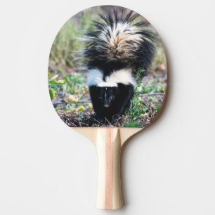 Raquette De Ping Pong Noir et blanc