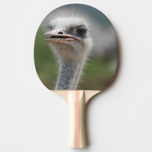 Raquette De Ping Pong Oiseau d'autruche