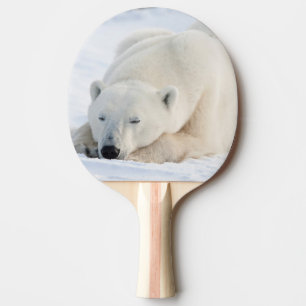 Raquette De Ping Pong Ours polaire en hiver
