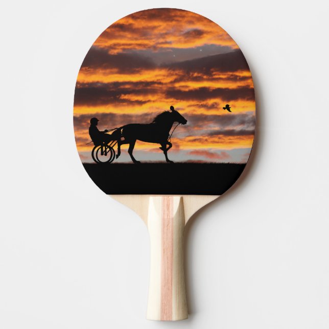 Raquette De Ping Pong Pagaie de course de chevaux de Troie standard (Devant)