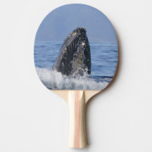 Pagaie de ping-pong avec baleines